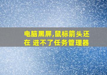 电脑黑屏,鼠标箭头还在 进不了任务管理器